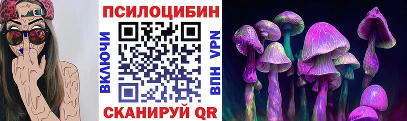 Купить закладки  Трёхгорный  Псилоцибиновые грибы Magic Shrooms 
